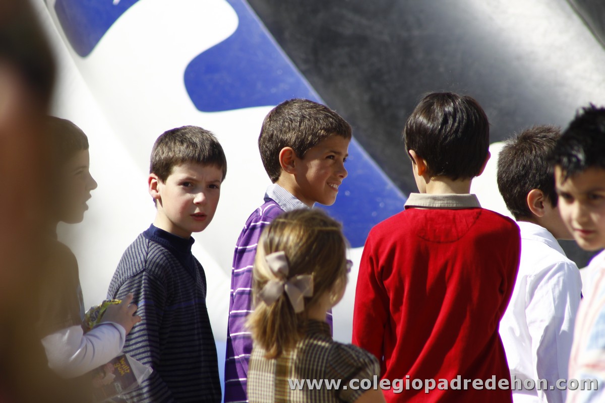 Fiesta apa 201200091