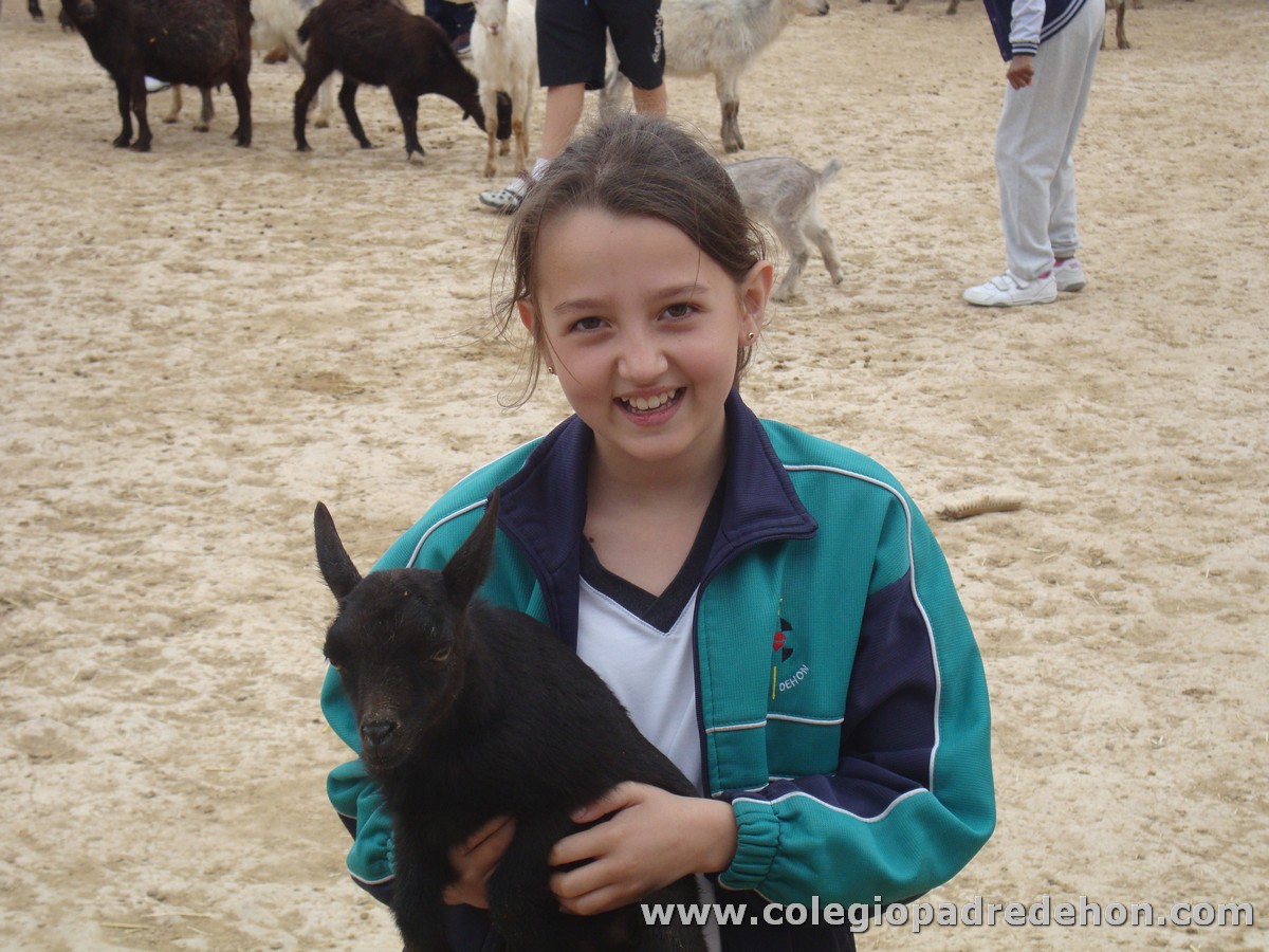 Granja escuela 201200001