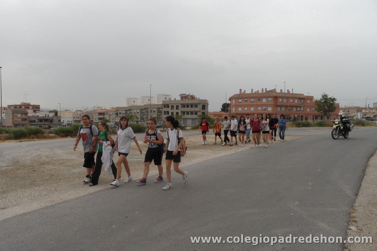 Marcha solidaria 201200001