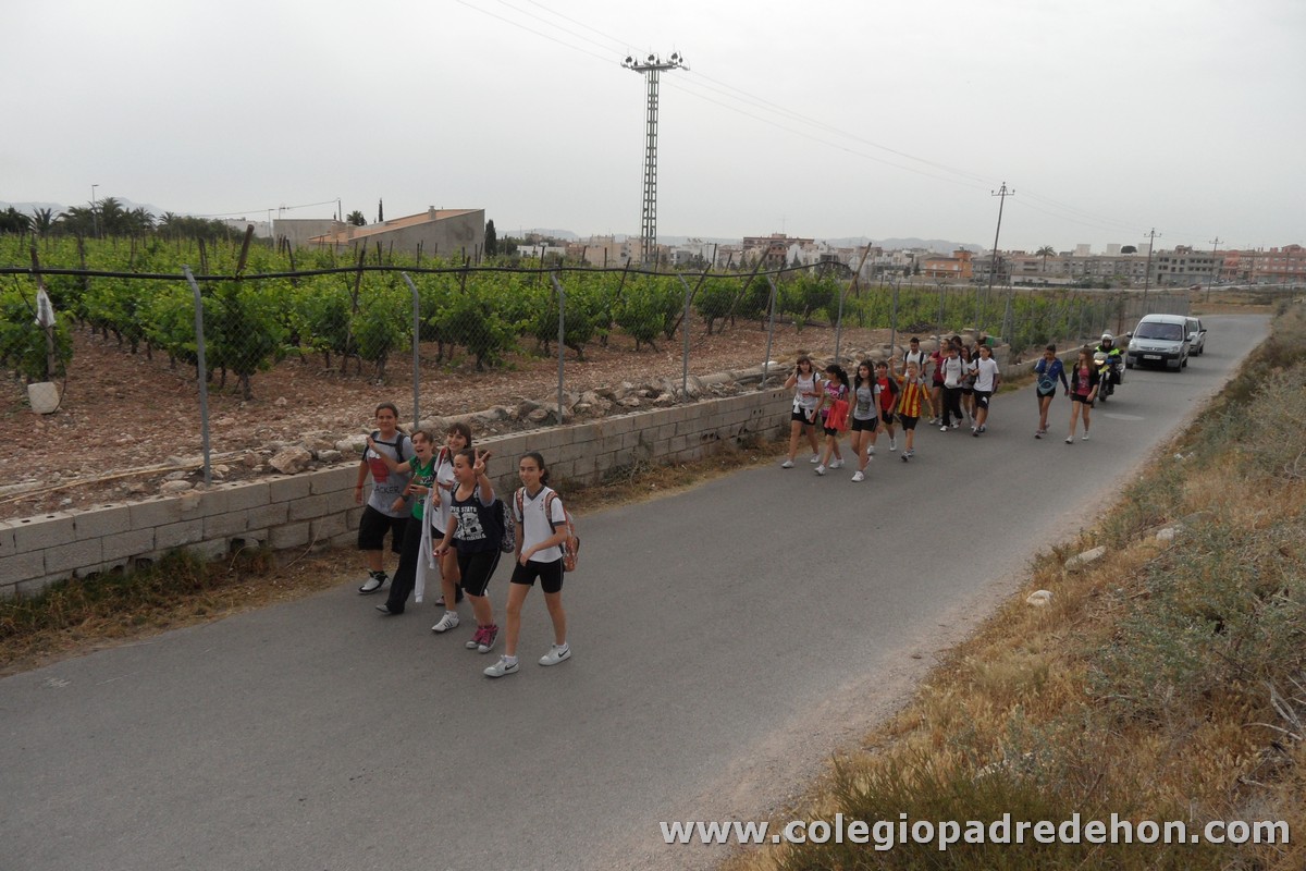 Marcha solidaria 201200002