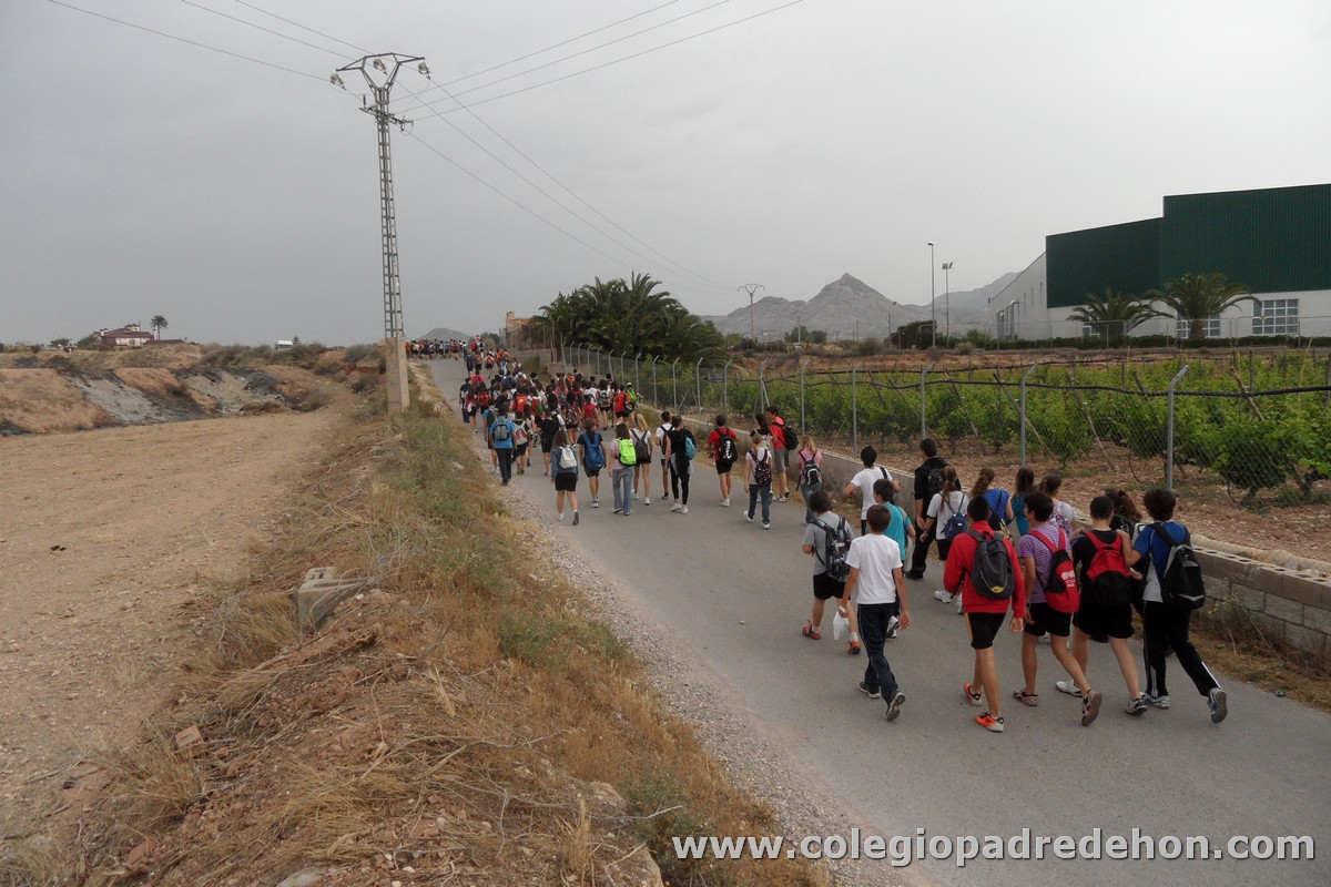 Marcha solidaria 201200003