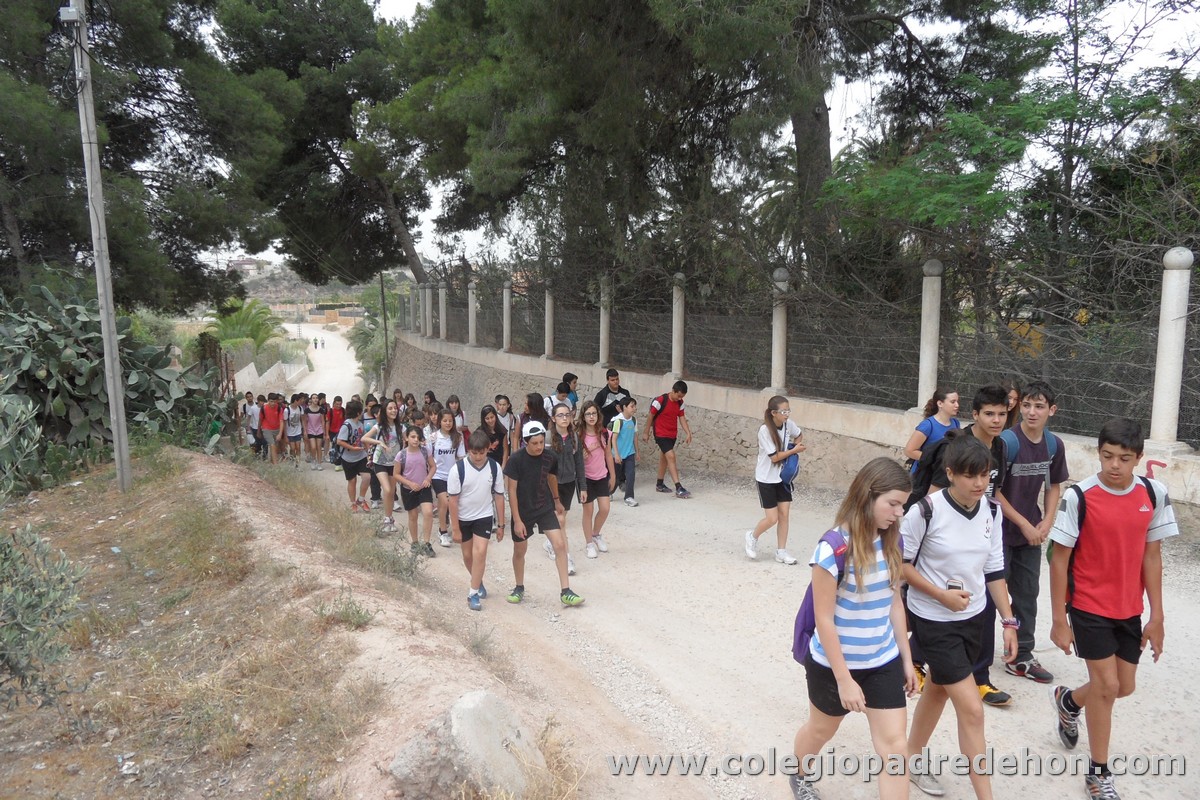 Marcha solidaria 201200004