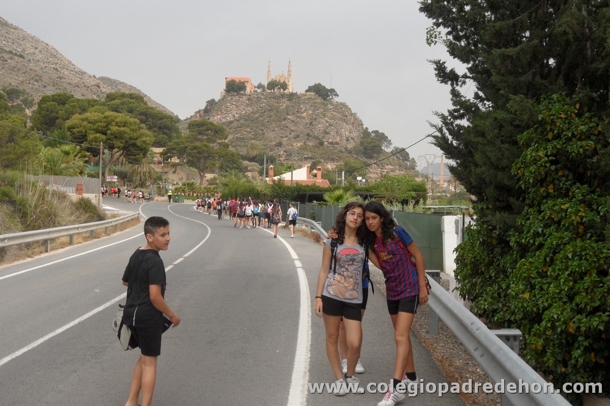 Marcha solidaria 201200006