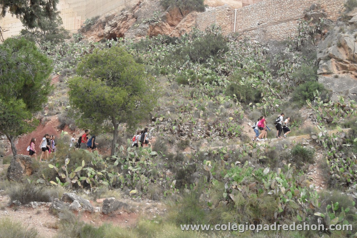 Marcha solidaria 201200009