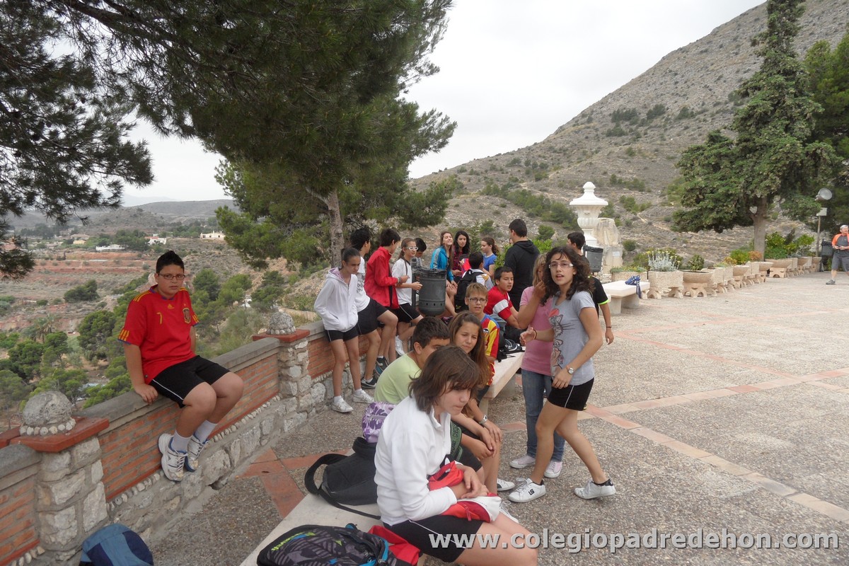 Marcha solidaria 201200032