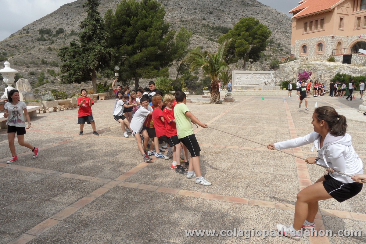 Marcha solidaria 201200041