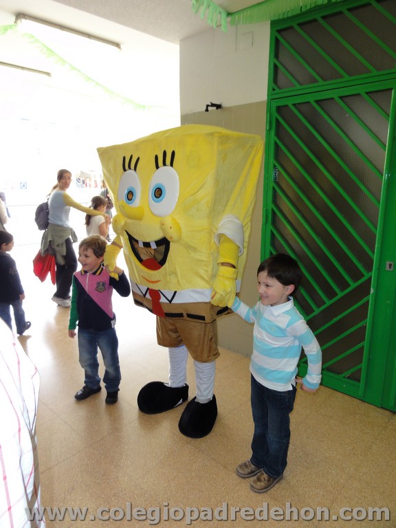 Fiesta apa 201100020