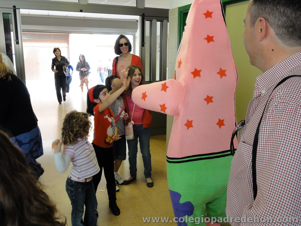 Fiesta apa 201100029