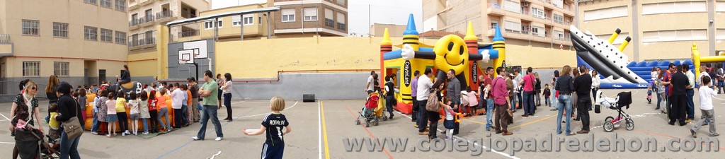 Fiesta apa 201100041