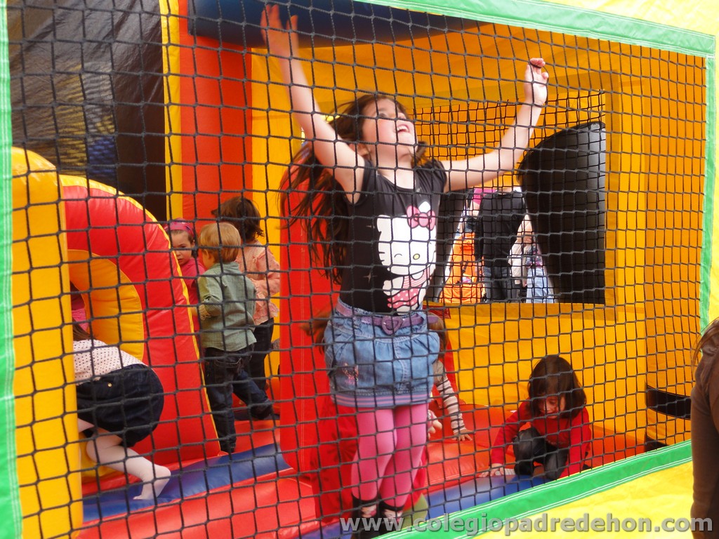 Fiesta apa 201100046