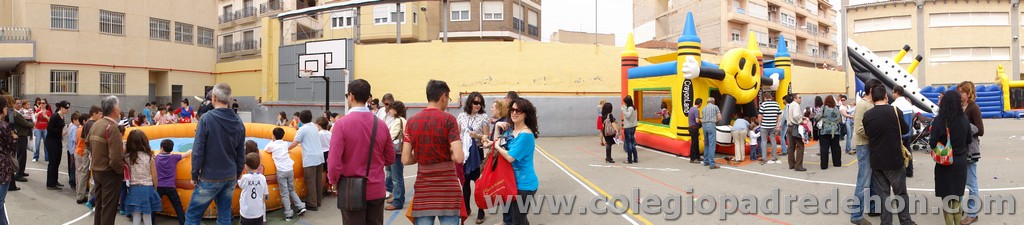 Fiesta apa 201100052