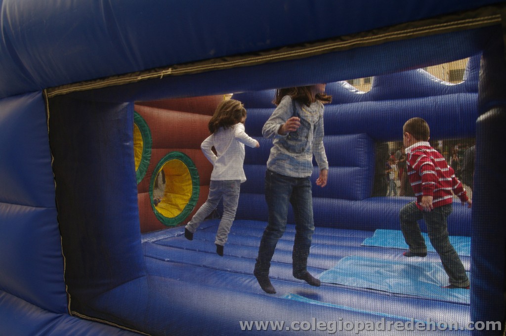 Fiesta apa 201100083