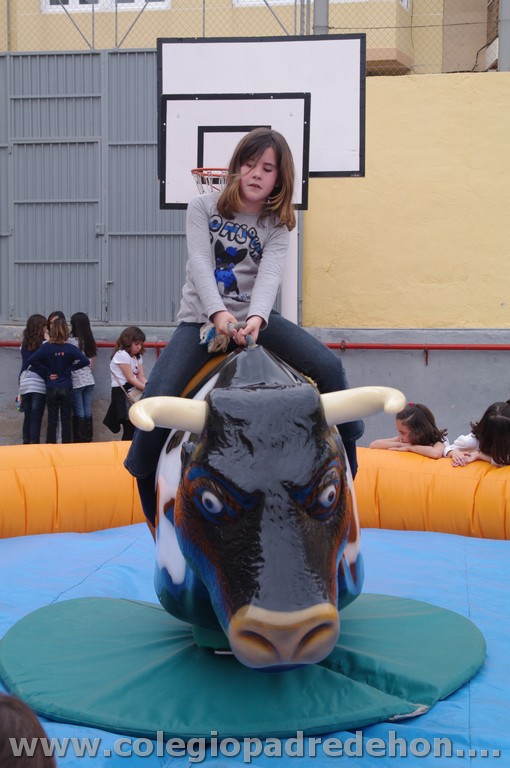 Fiesta apa 201100088