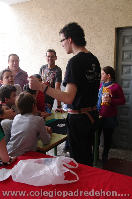 Fiesta apa 201100091