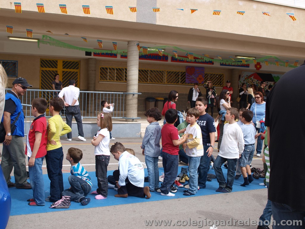 Fiesta apa 201100108