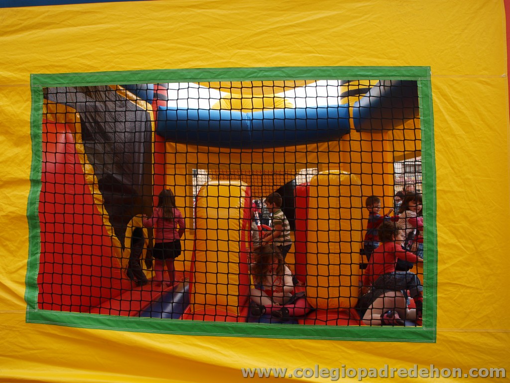 Fiesta apa 201100114