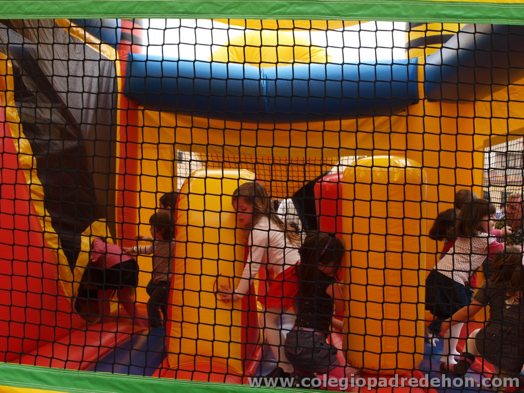 Fiesta apa 201100115