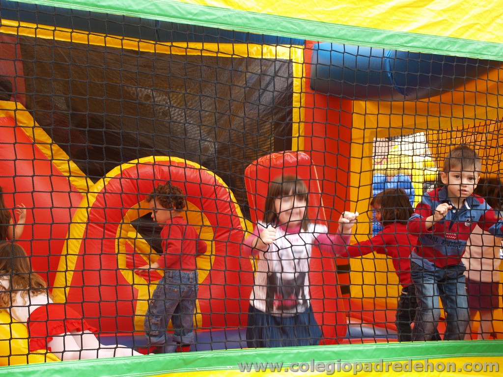 Fiesta apa 201100116