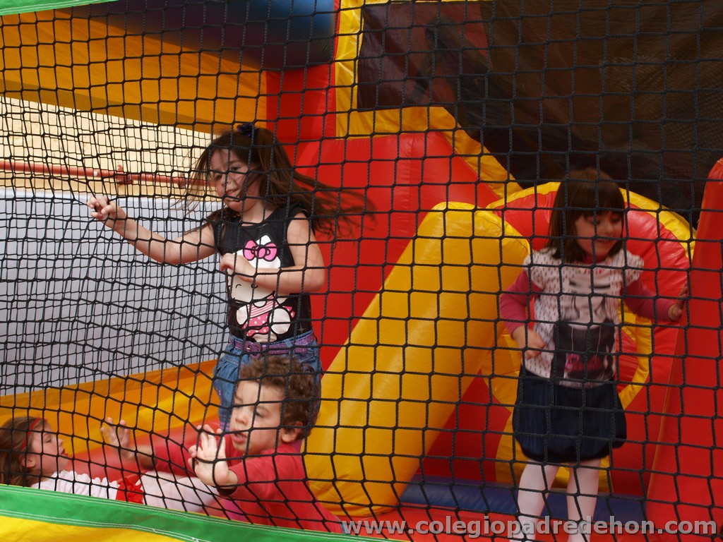 Fiesta apa 201100117