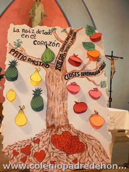 Padel tenis 4 primaria00085