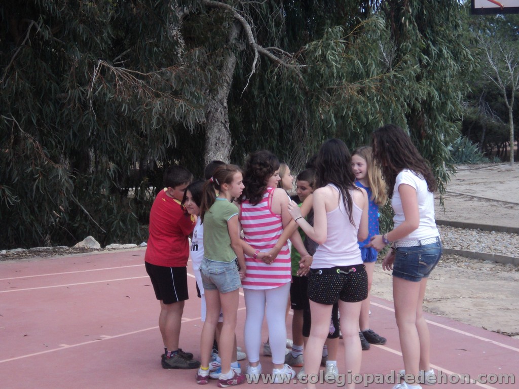 Convivencia postcom201100020