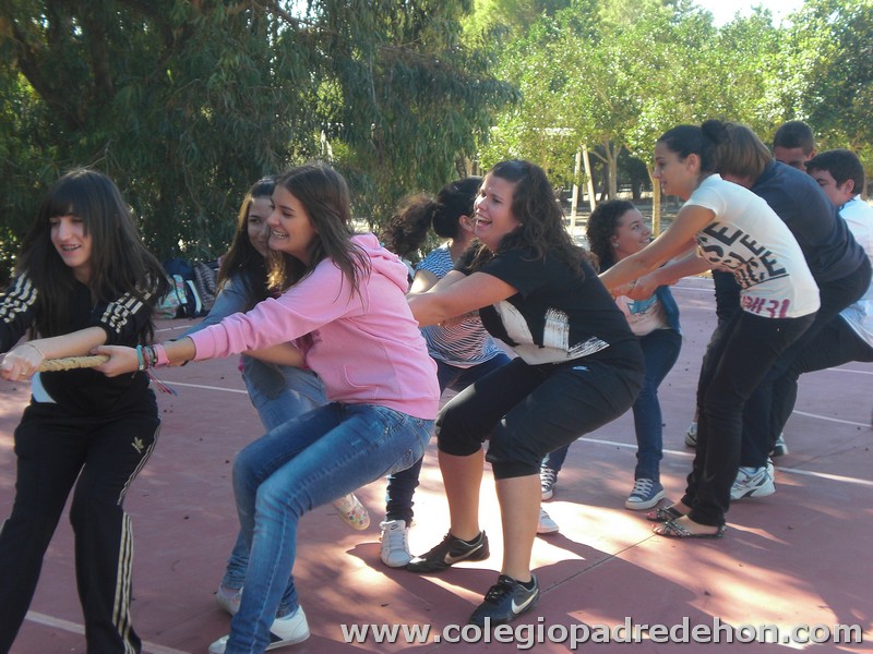 Convivencia bach 201000005