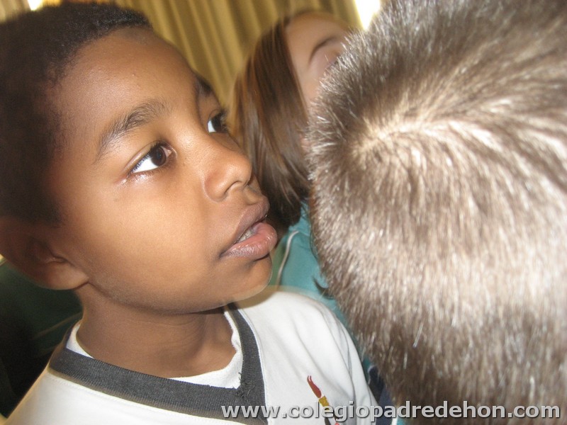 Convivencia 201000003