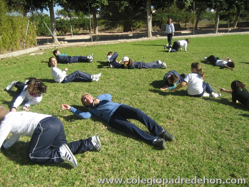 Convivencia 201000016