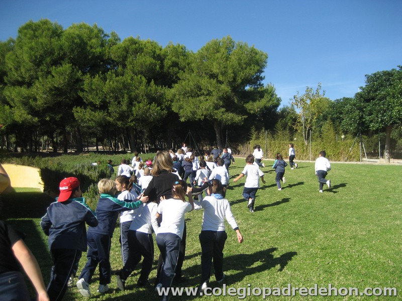 Convivencia 201000025