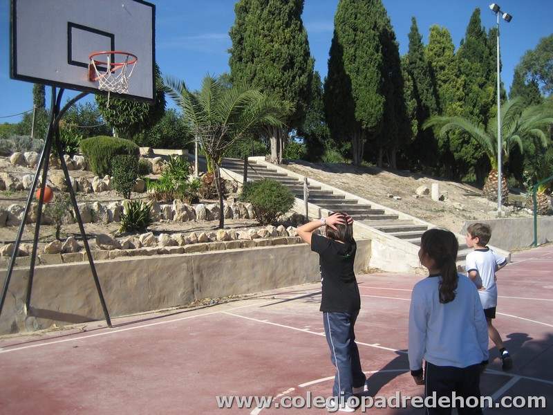 Convivencia 201000059