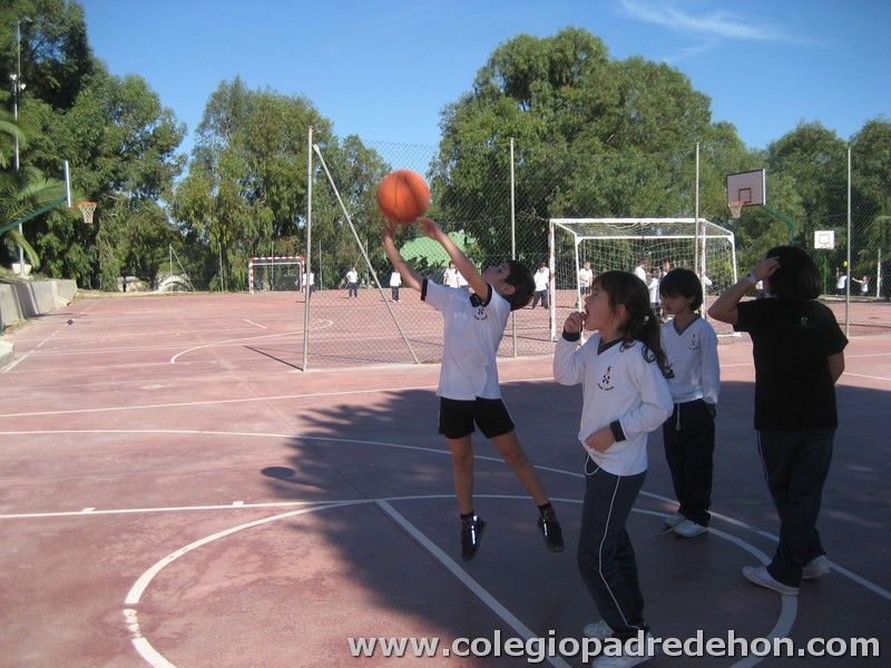 Convivencia 201000061