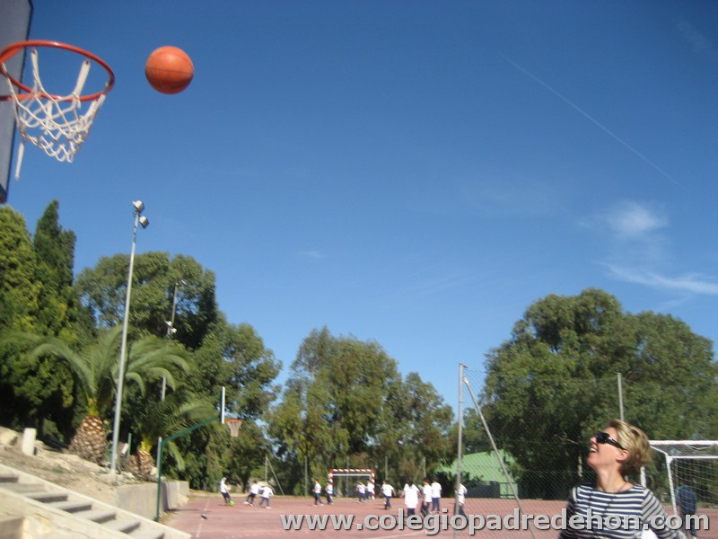 Convivencia 201000062