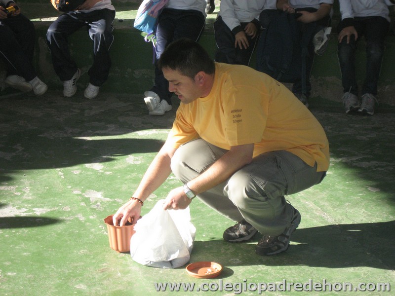 Convivencia 201000093