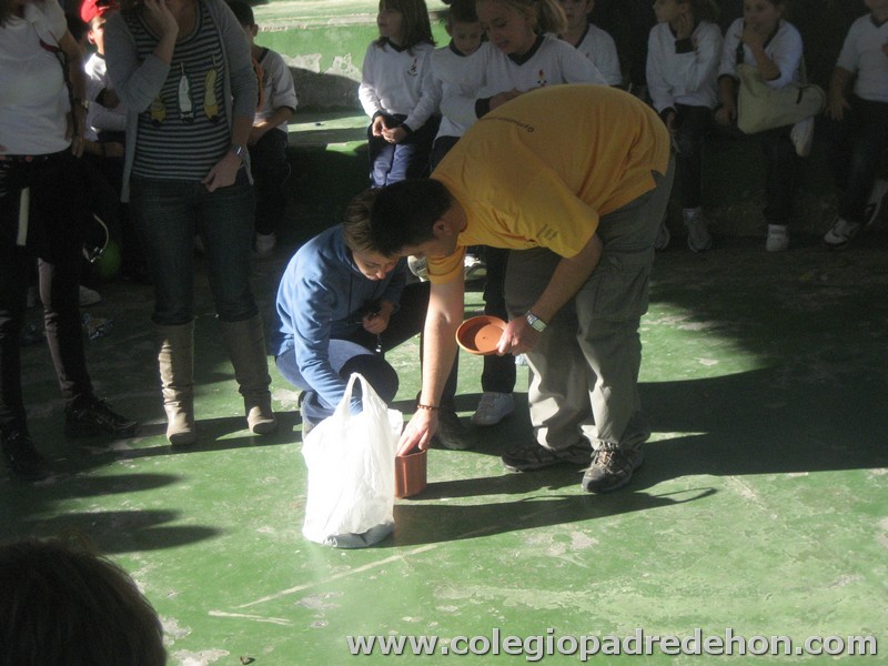 Convivencia 201000098