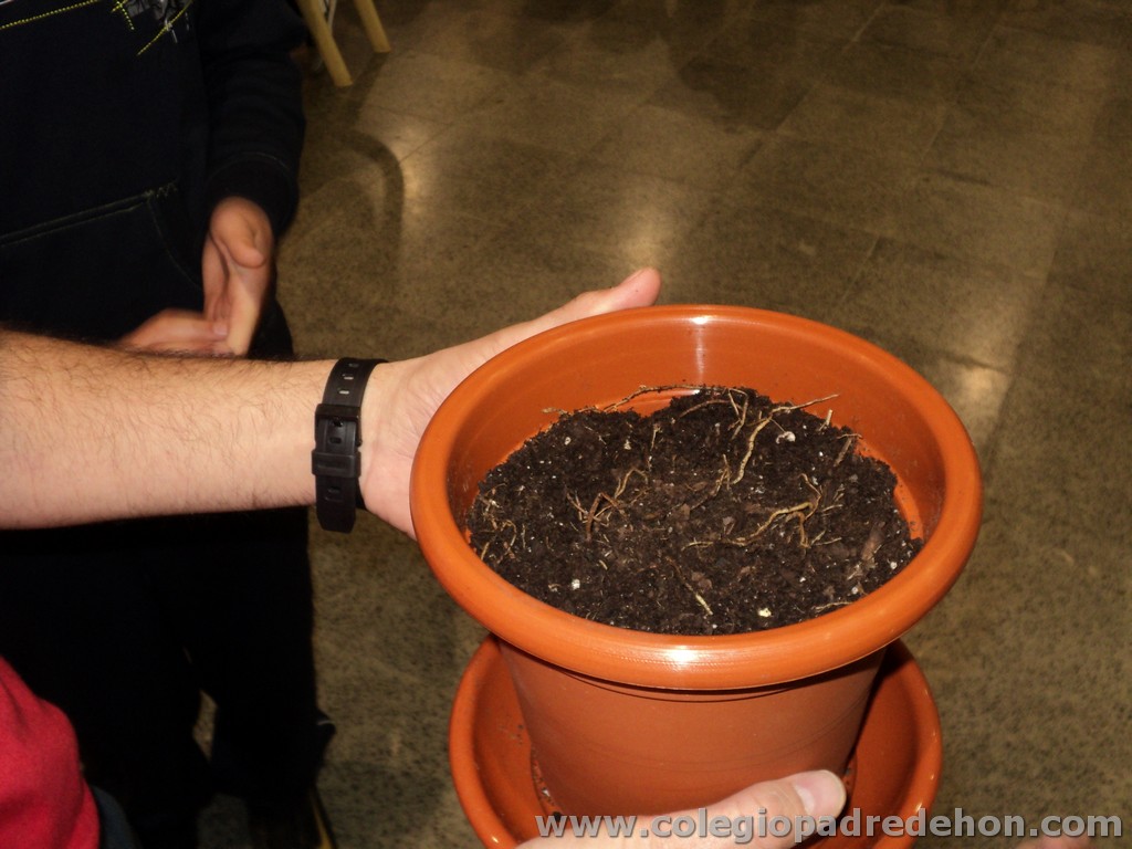 Conv 5pri 2011 00032