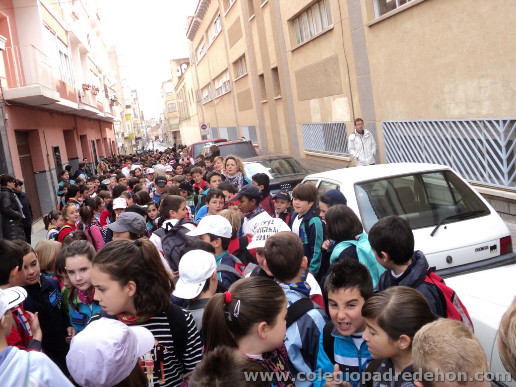 Marcha solidaria 201100003