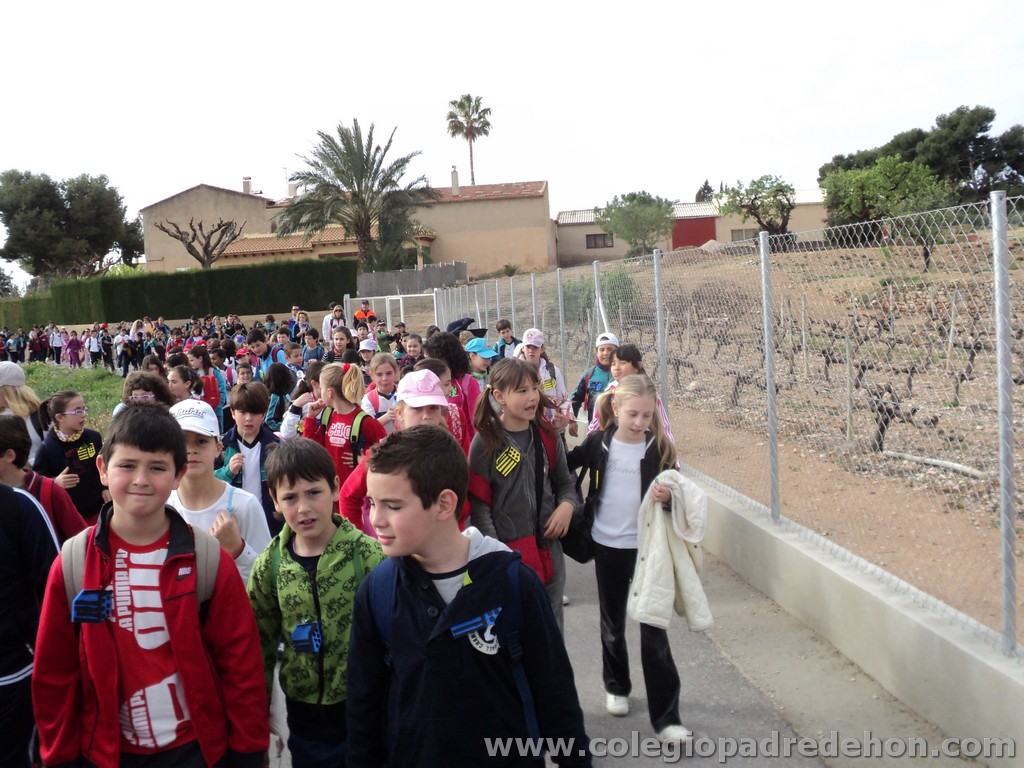 Marcha solidaria 201100006