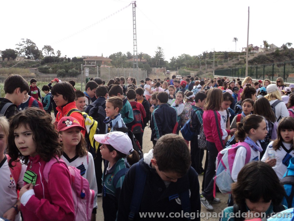 Marcha solidaria 201100007