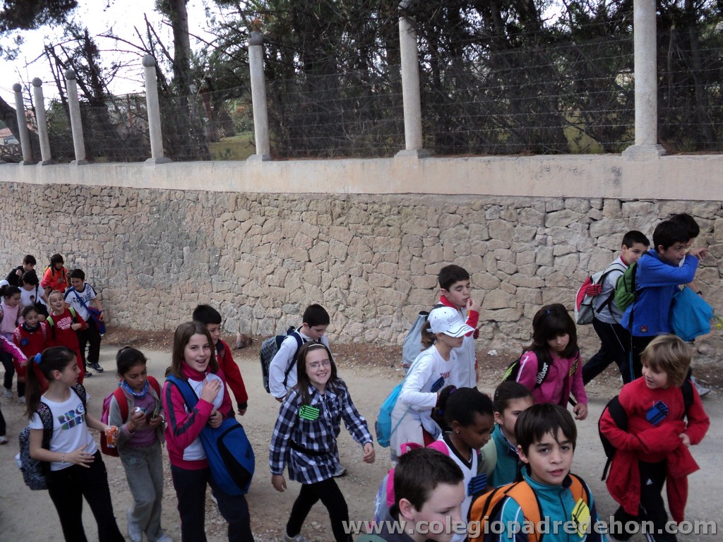 Marcha solidaria 201100011