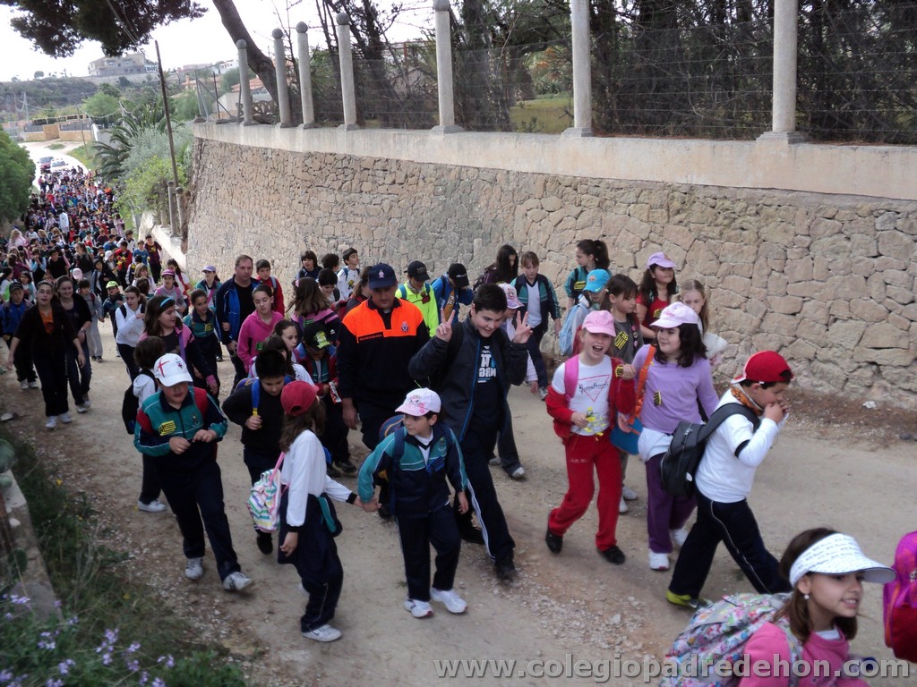 Marcha solidaria 201100013