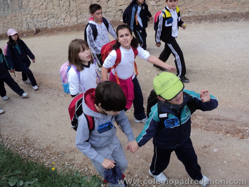 Marcha solidaria 201100015