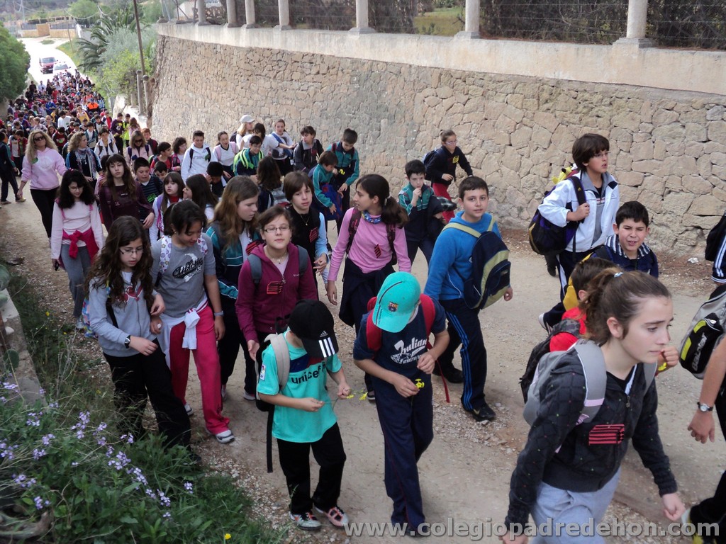 Marcha solidaria 201100017