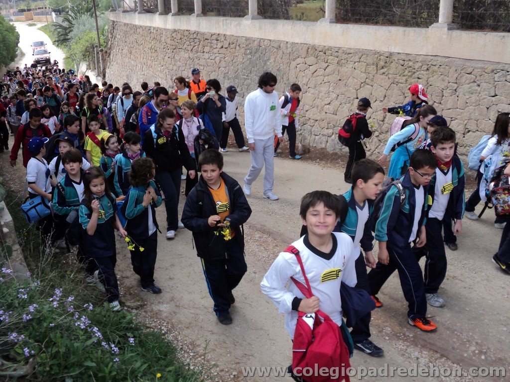 Marcha solidaria 201100021