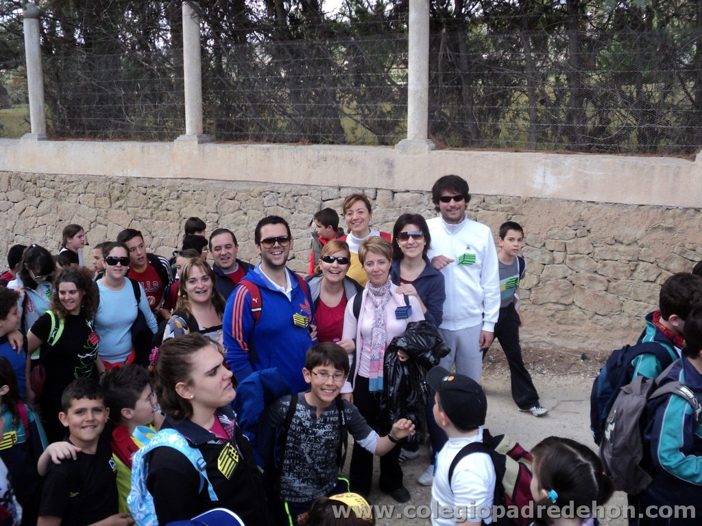 Marcha solidaria 201100022