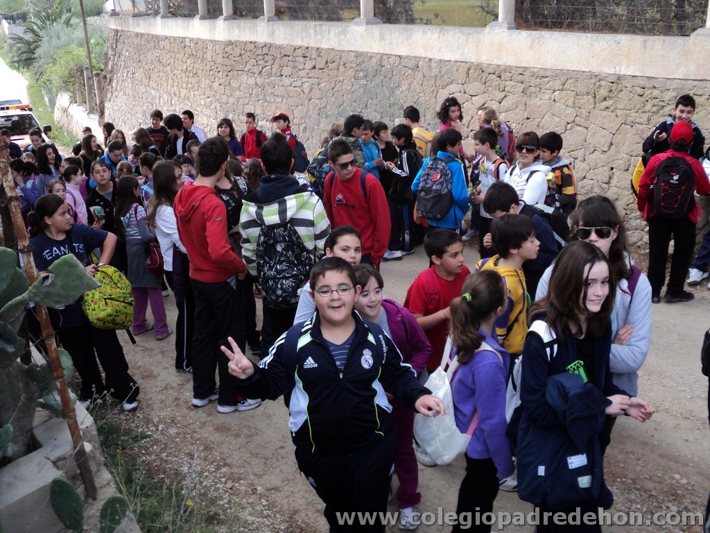 Marcha solidaria 201100027