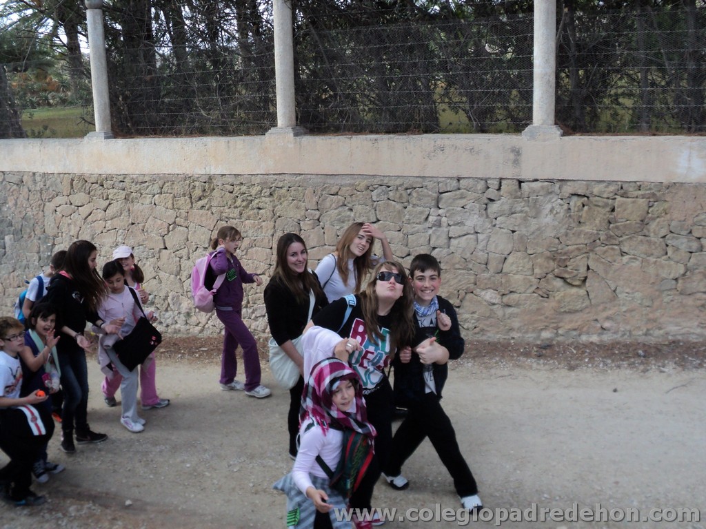 Marcha solidaria 201100032