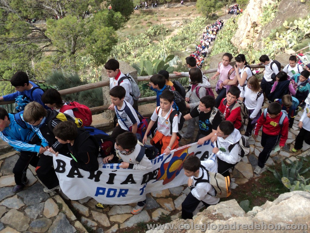 Marcha solidaria 201100034