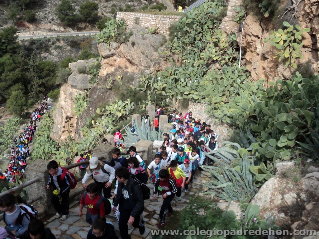 Marcha solidaria 201100035