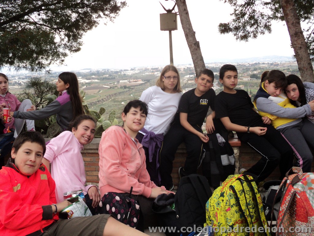 Marcha solidaria 201100046