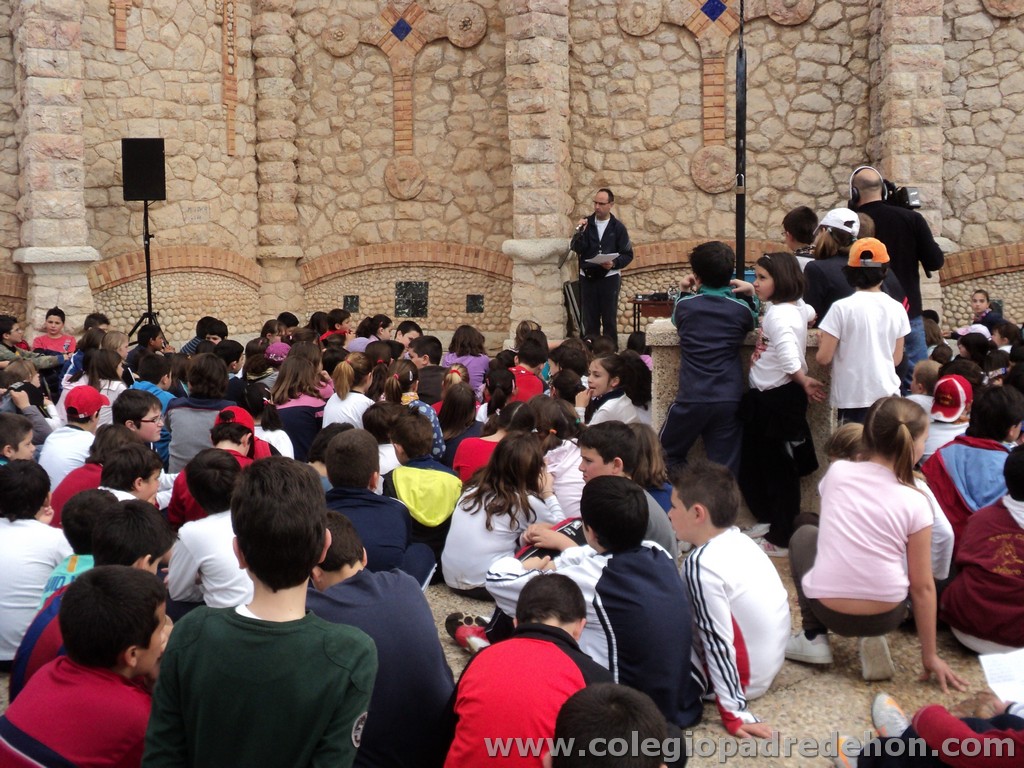 Marcha solidaria 201100072